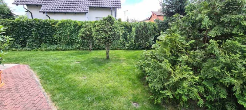 Zdjęcie 16