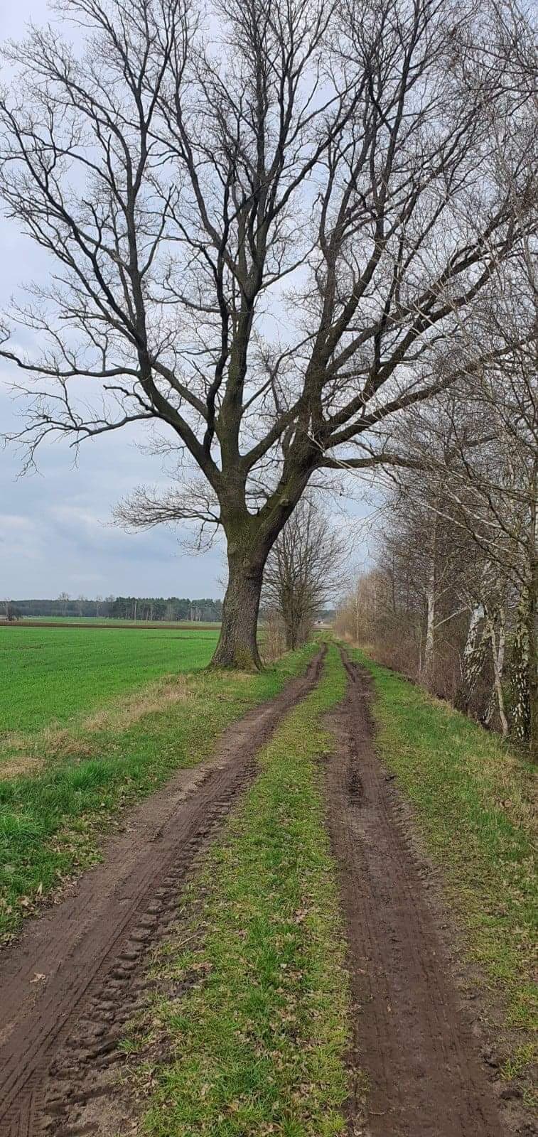 Zdjęcie 4
