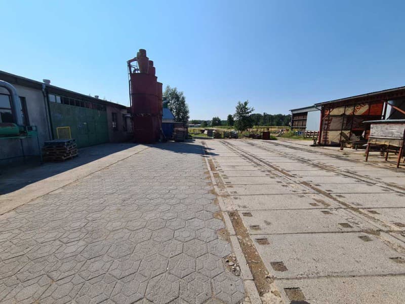 Zdjęcie 3