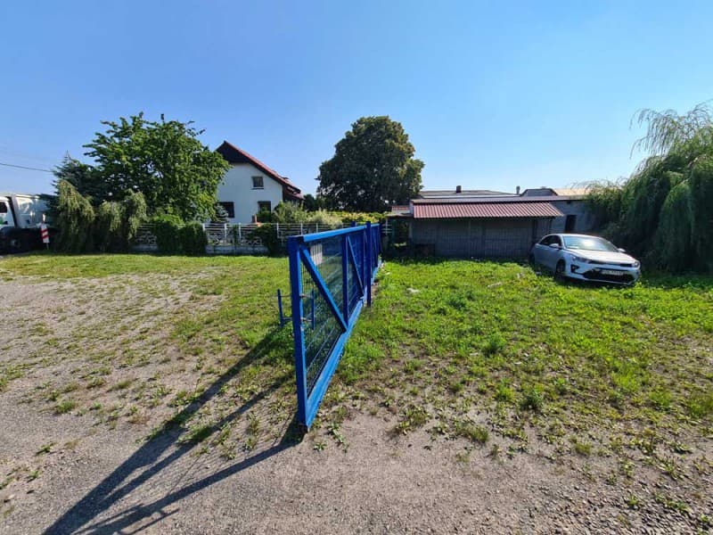 Zdjęcie 13