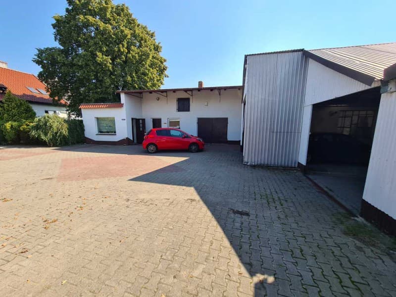Zdjęcie 11
