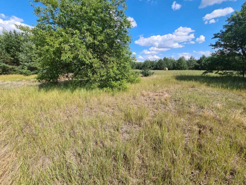 Działka na sprzedaż