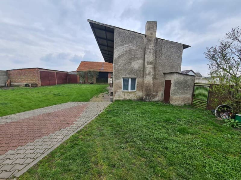 Zdjęcie 11