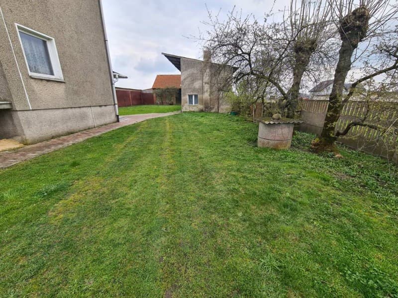 Zdjęcie 13