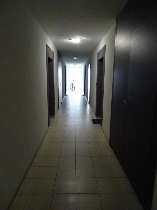 Zdjęcie 13