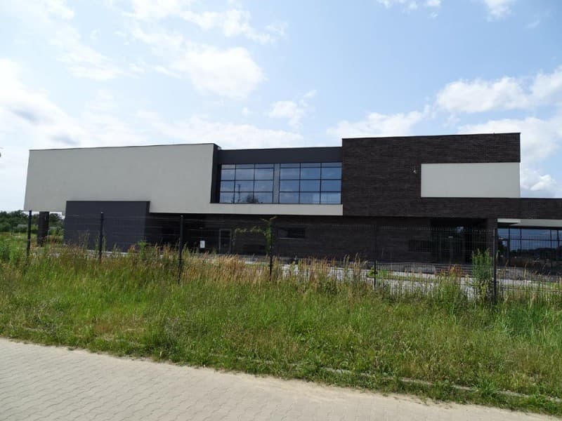 Zdjęcie 3