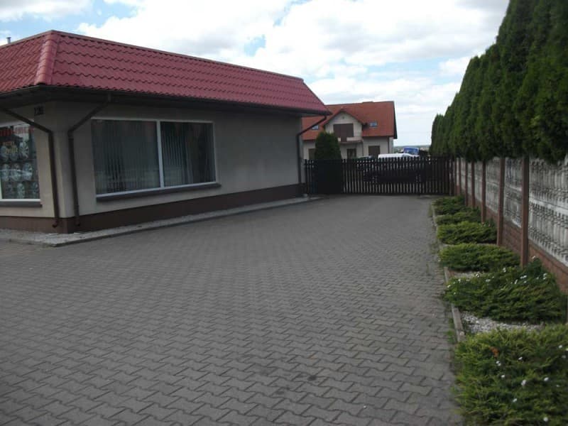 Zdjęcie 7