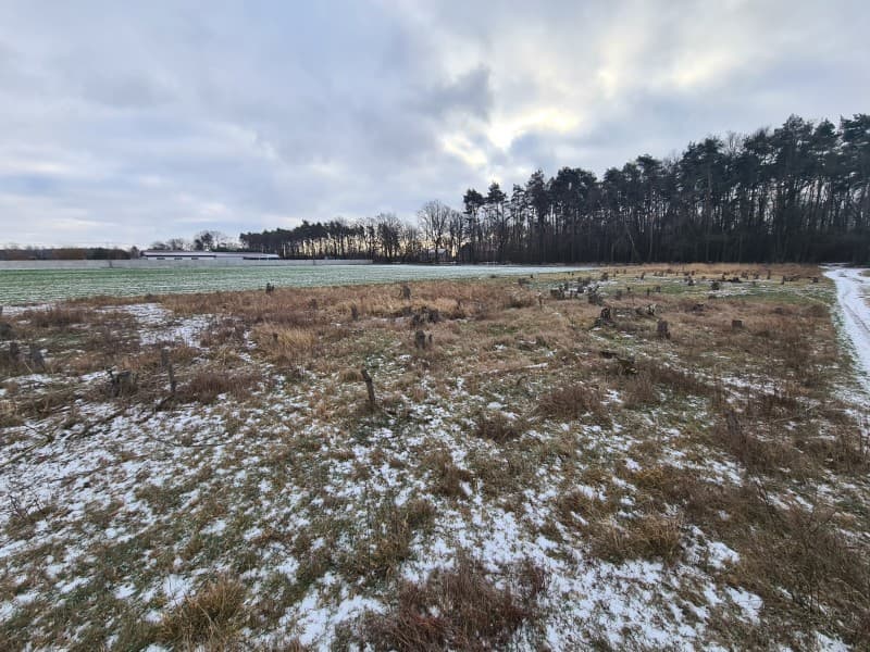 Działka budowlana na sprzedaż