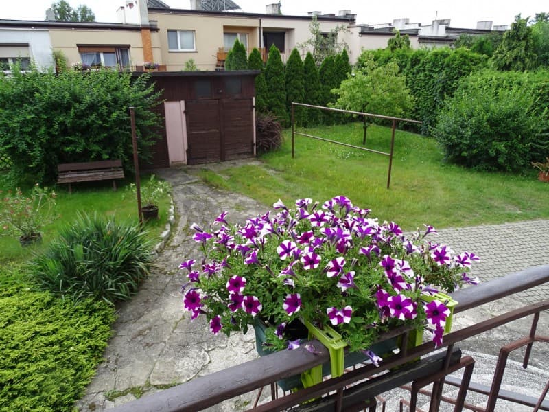 Zdjęcie 41