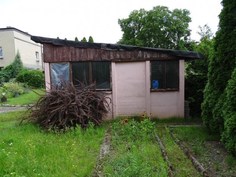 Zdjęcie 43