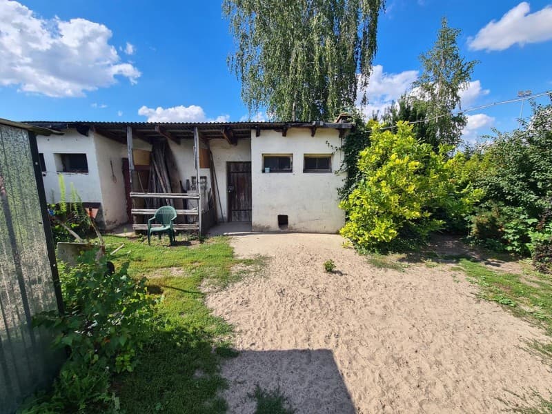 Zdjęcie 19