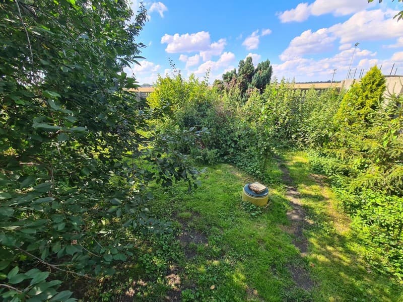 Zdjęcie 20