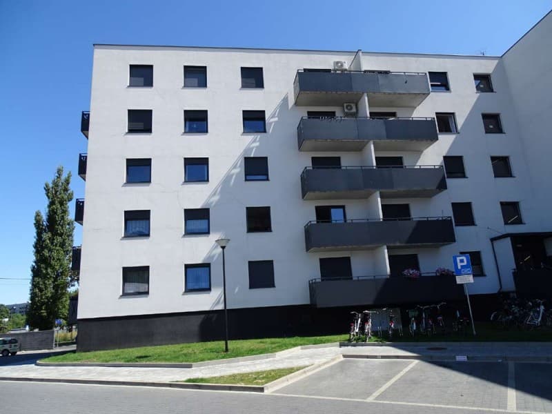 Zdjęcie 11