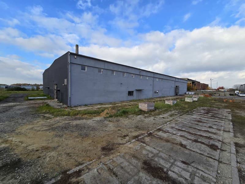 Hale produkcyjno - magazynowe do wynajęcia