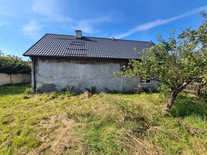 Zdjęcie 8