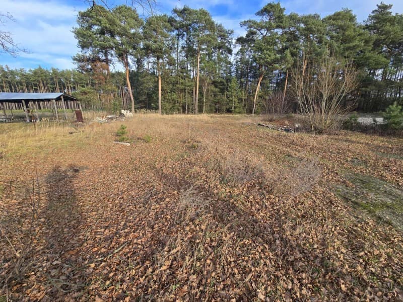 Zdjęcie 5
