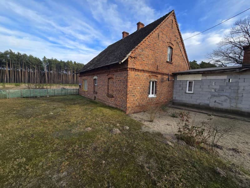 Zdjęcie 13