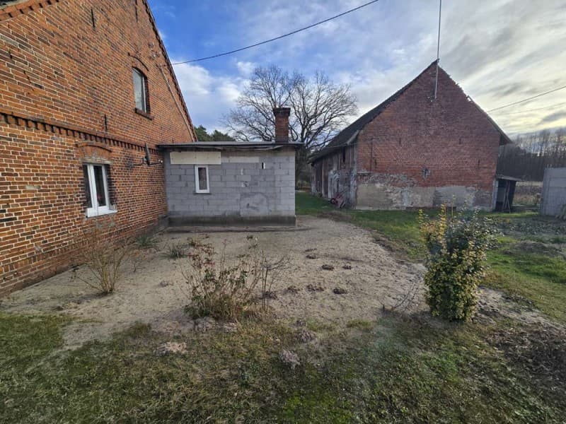 Zdjęcie 12
