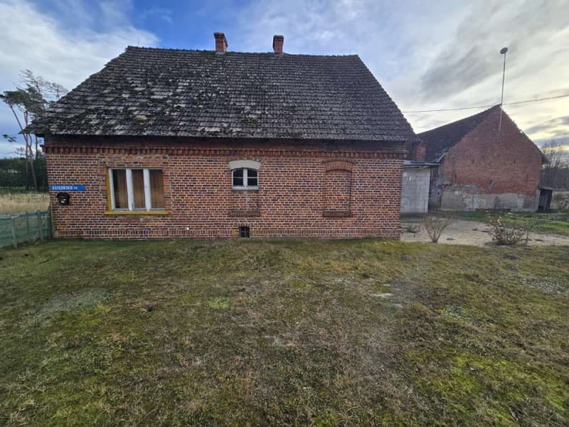 Zdjęcie 11