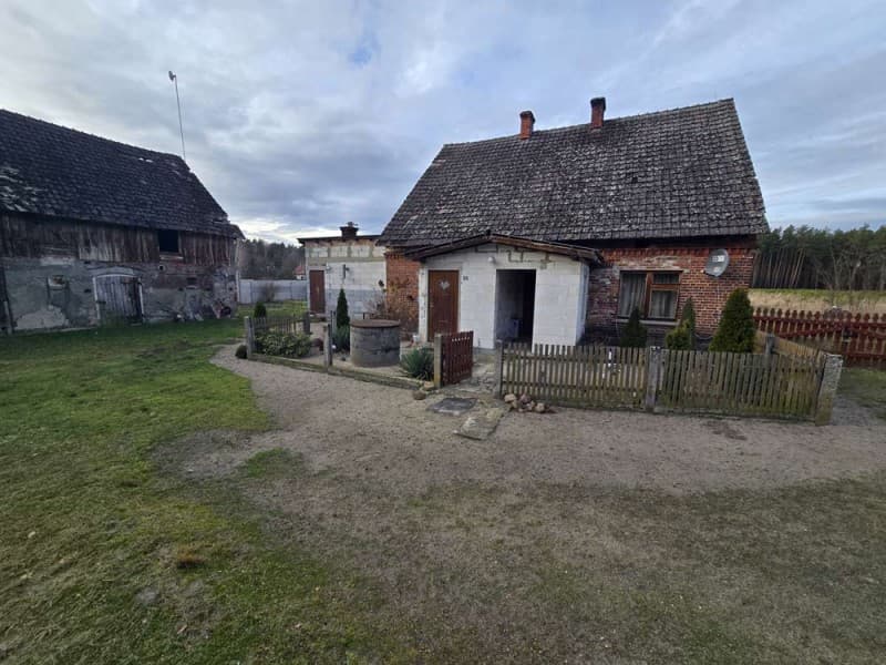 Zdjęcie 15