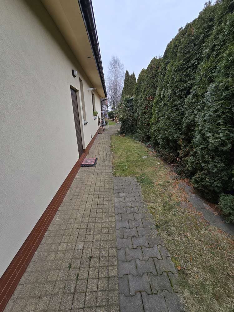 Zdjęcie 19