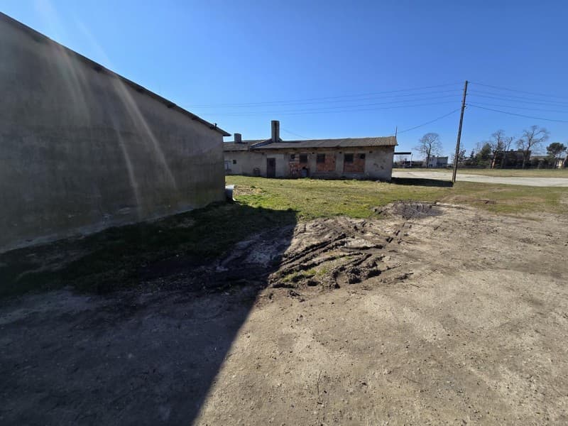 Zdjęcie 12