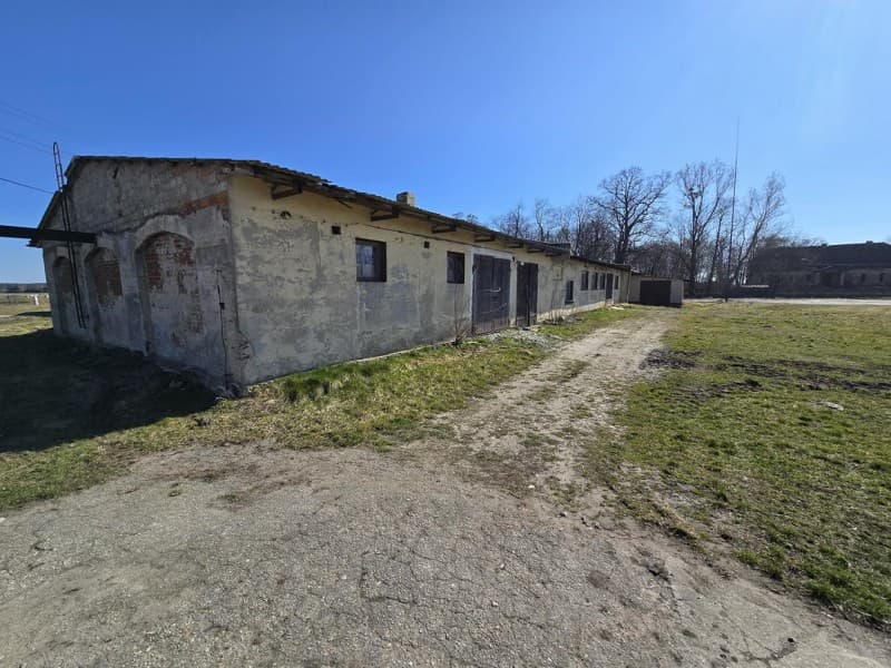 Zdjęcie 10