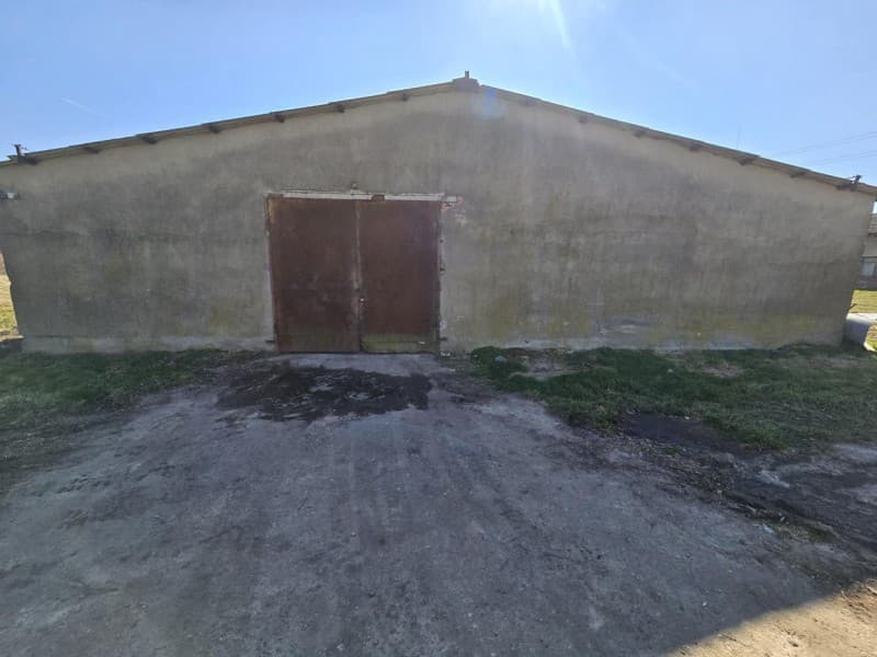 Zdjęcie 13
