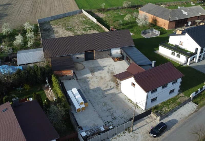 Zdjęcie 30