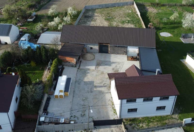 Zdjęcie 31