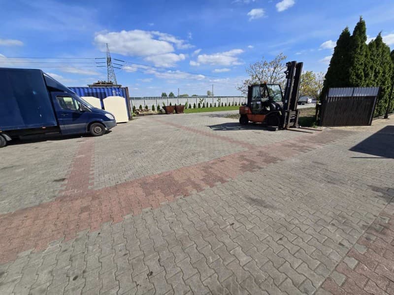 Zdjęcie 10