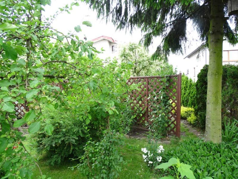 Zdjęcie 27