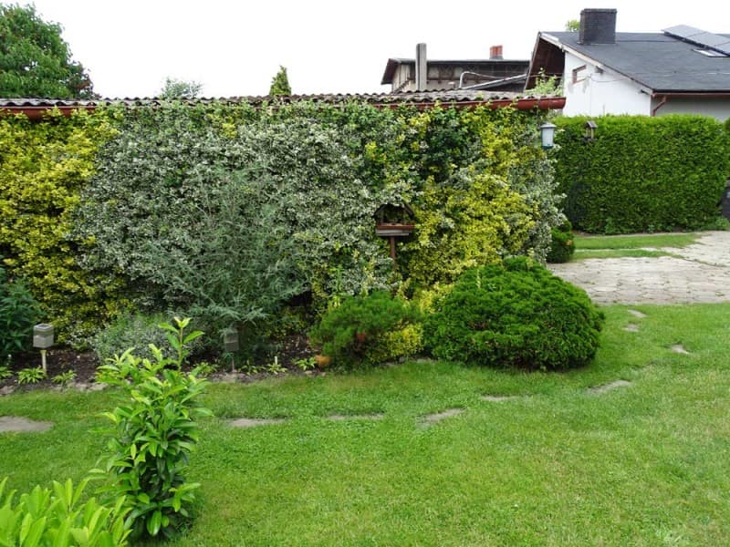 Zdjęcie 26