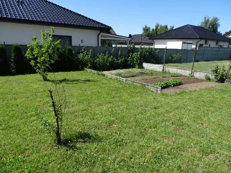 Zdjęcie 35