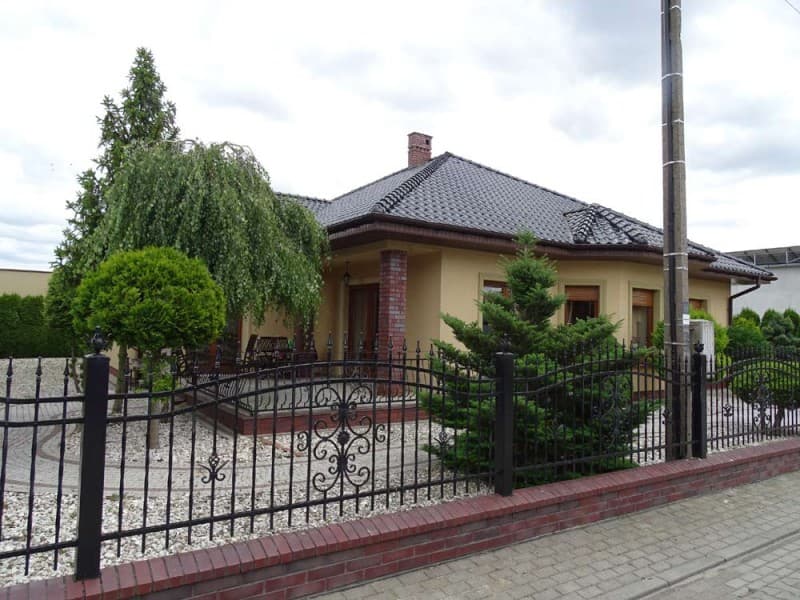 Zdjęcie 7