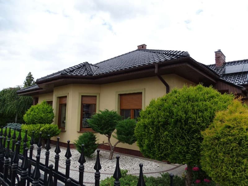Zdjęcie 5