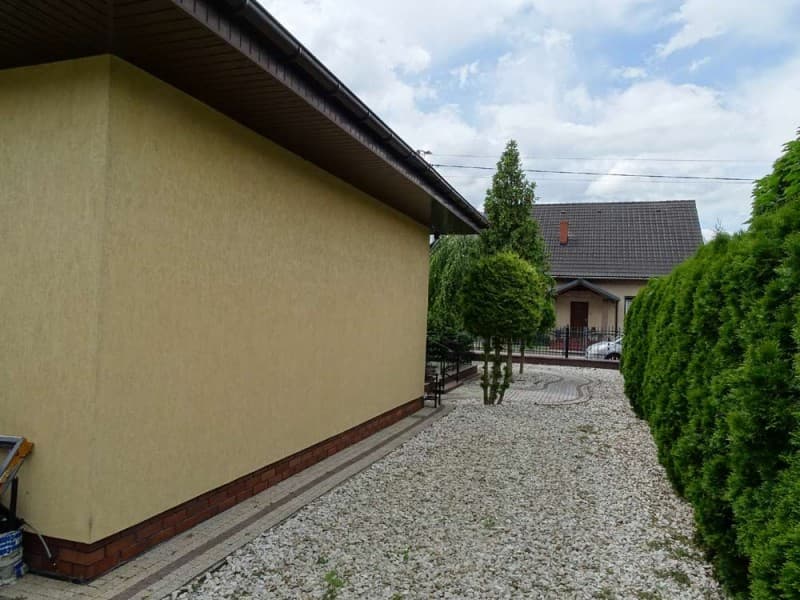 Zdjęcie 11