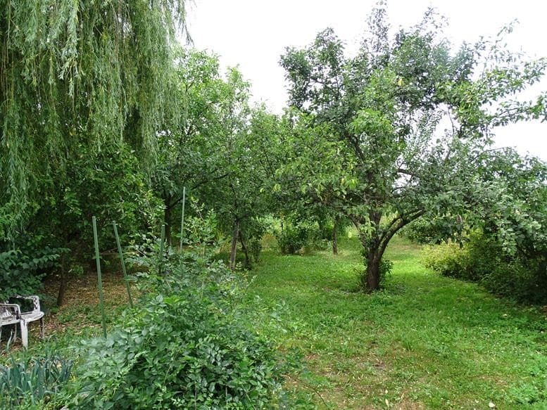 Zdjęcie 26