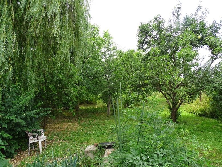 Zdjęcie 27