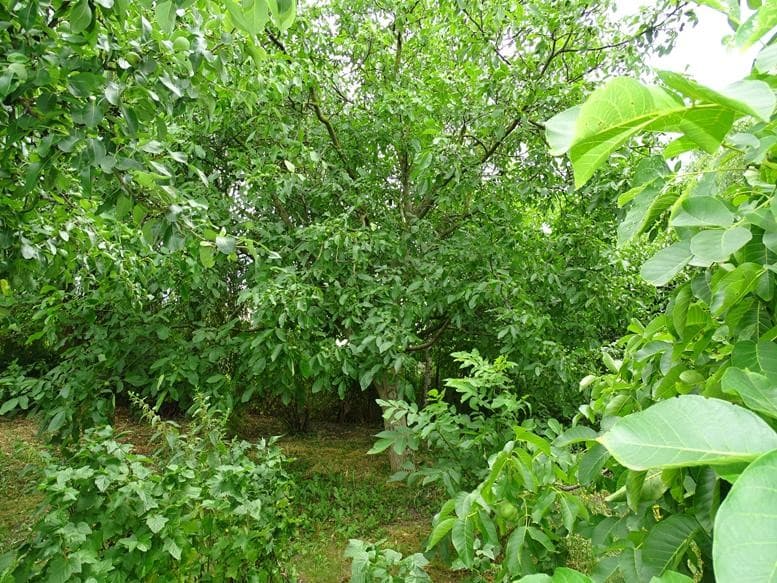 Zdjęcie 28