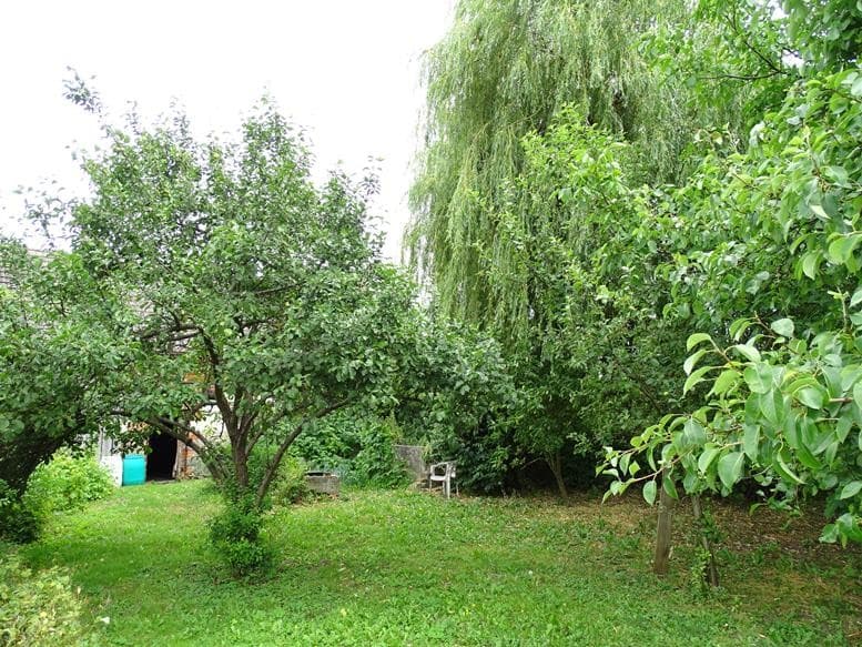 Zdjęcie 29