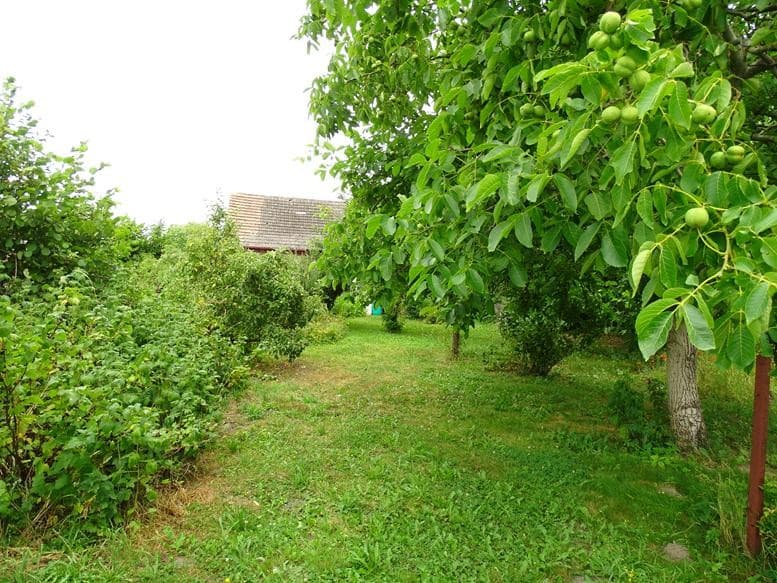 Zdjęcie 30