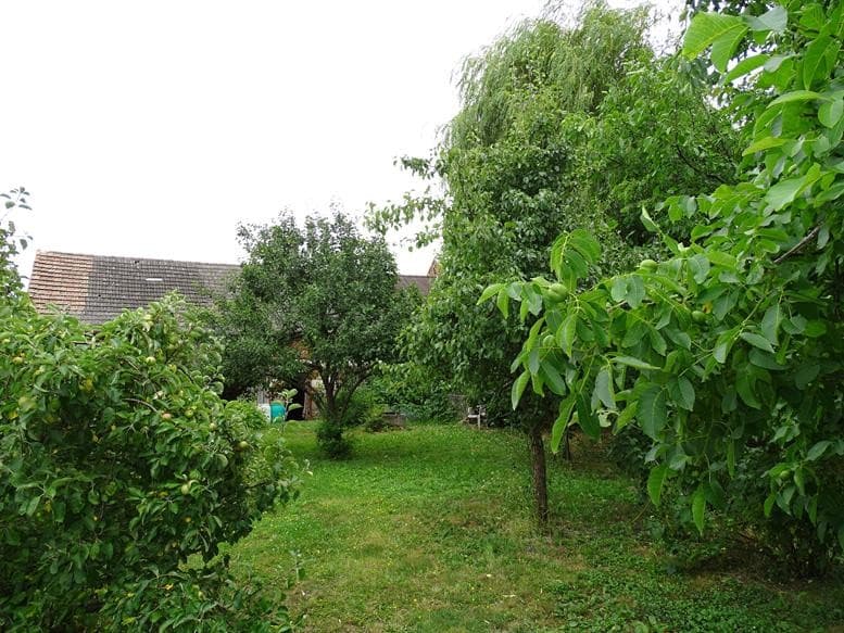 Zdjęcie 31