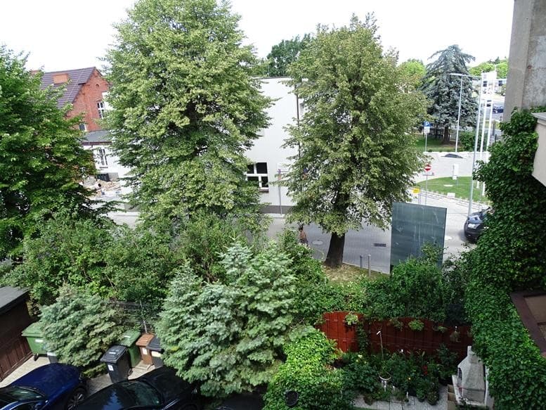 Zdjęcie 17