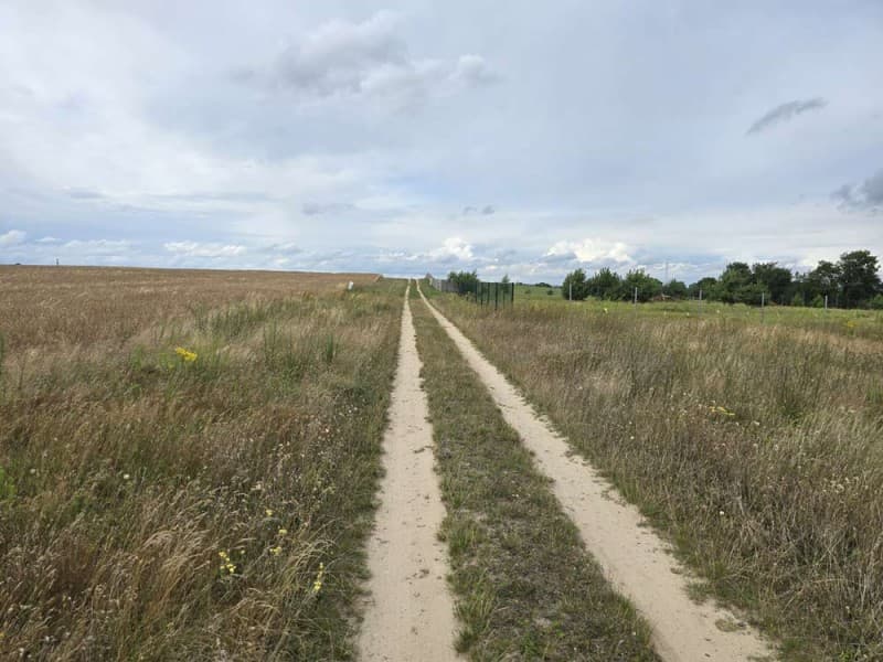 Zdjęcie 4