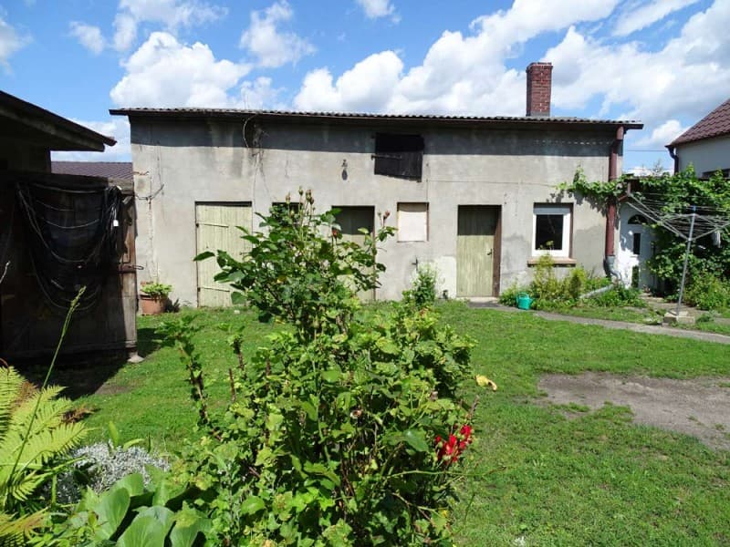 Zdjęcie 35