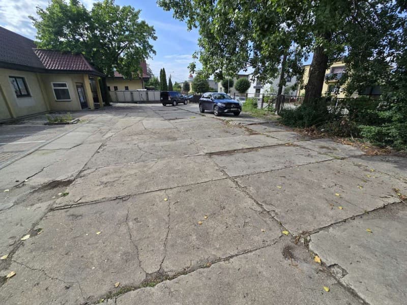 Zdjęcie 35