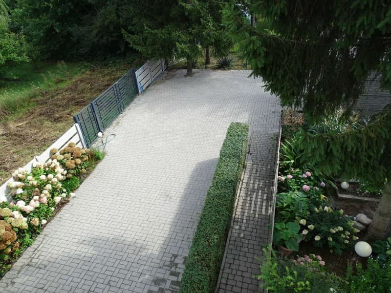 Zdjęcie 31