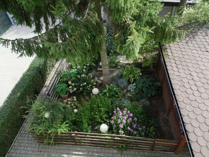 Zdjęcie 30