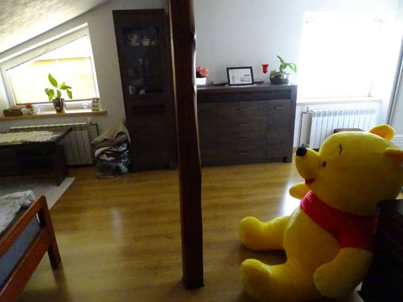Zdjęcie 24
